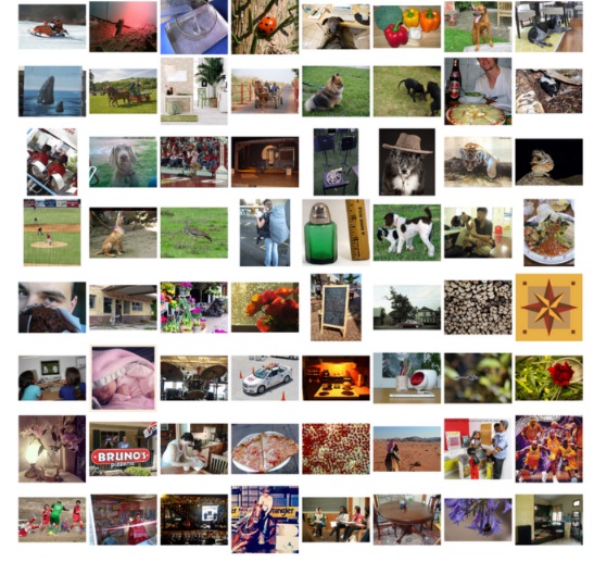 Ejemplo de imágenes del conjunto de datos de ImageNet utilizadas en el ILSVRC Challenge